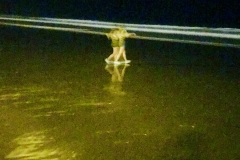 Cedin Llega al Mar