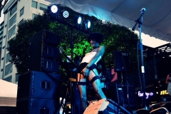 Vomitorium en Vivo