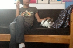 efraain gatos